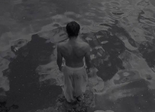 “dear victoria,” film for Kaló Soil Fall Campaign