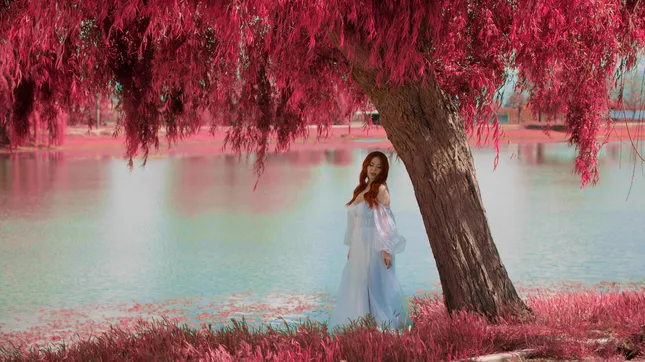 Maisy Kay - Technicolor Honeymoon