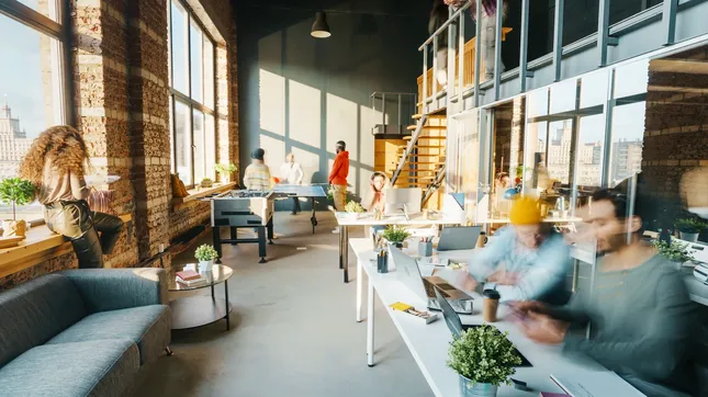 Plumcat Studios