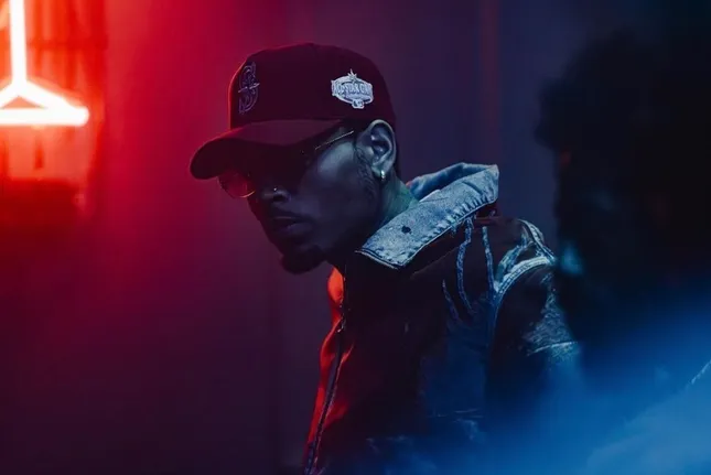 CHRIS BROWN ‘GO GIRLFRIEND’
