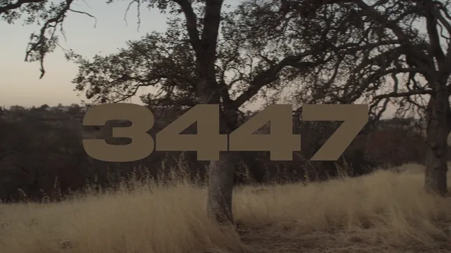 3447 Trailer