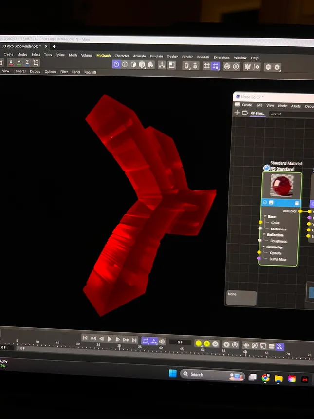 Project image