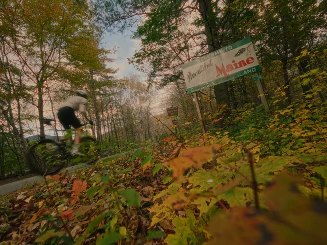 Pinebury Cycling