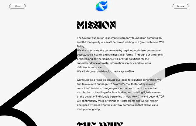 Project image