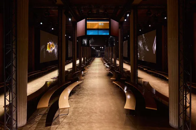 Miu Miu FW24 - Runway Installation