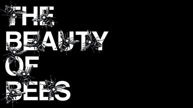 The Beauty of Bees - Editorial Brochure