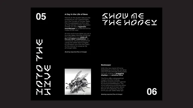 Project image