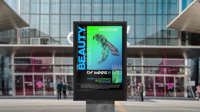 Project image