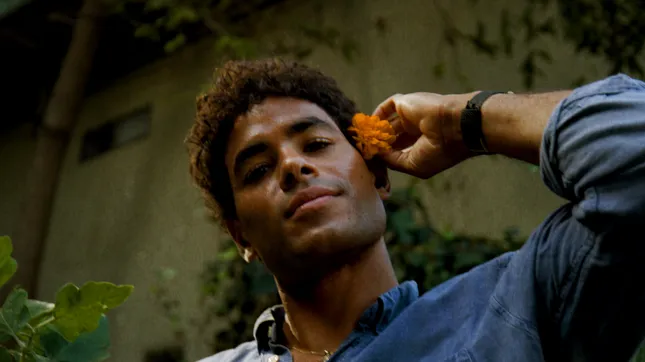 Michael for Lettuce Grow