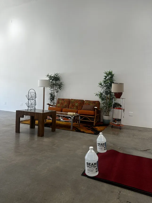 Project image