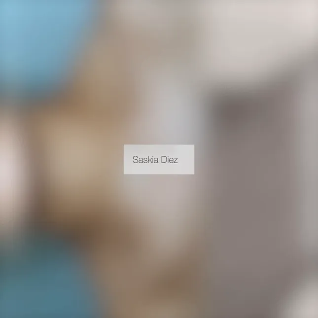 SASKIA DIEZ WEBSITE