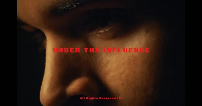 Chris Brown / Under the Influence