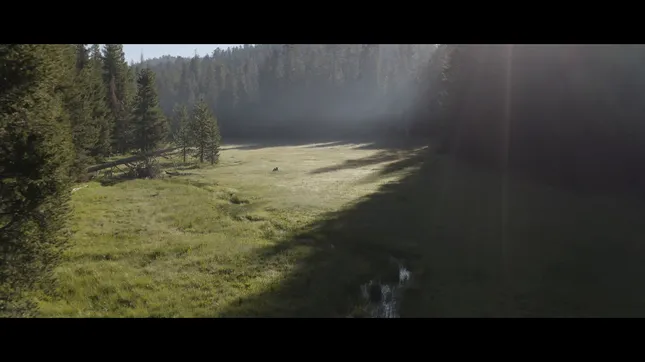 Drone Operator Reel