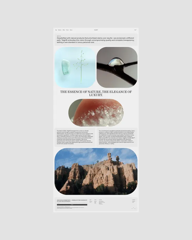 Project image