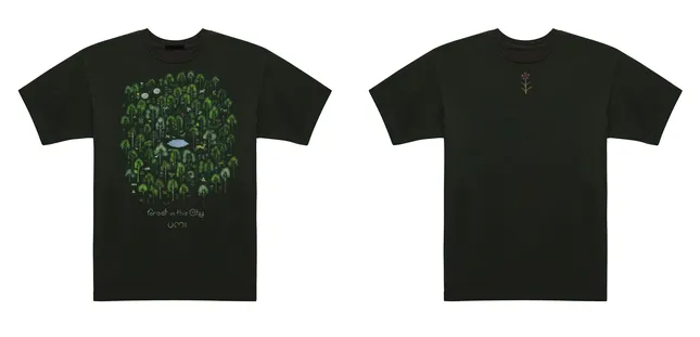 Project image