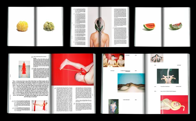 Ren Hang:PostScript