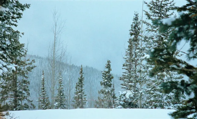 Free People | Winter '24 Ski
