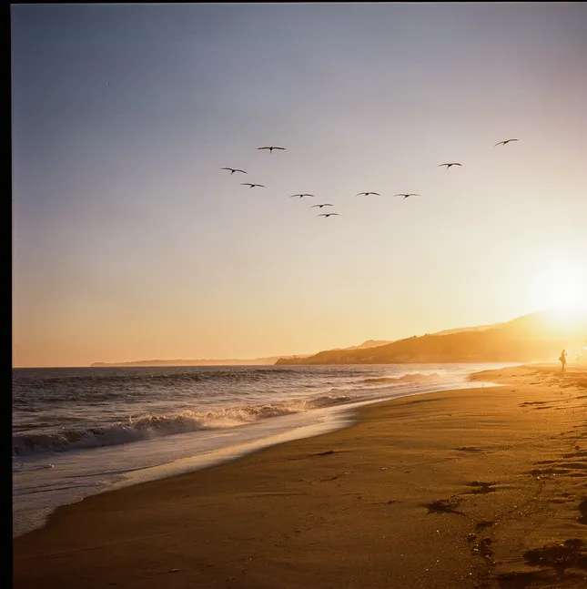 Medium Format Film Landscapes