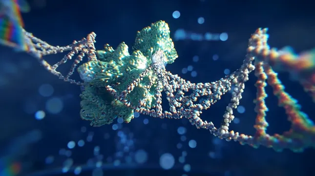 3D Reel Refresh