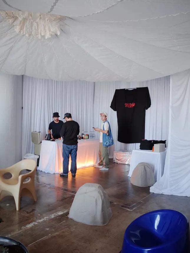 Project image