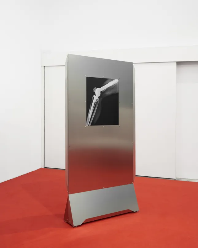 “Flesh And Metal, A Prosthetic Decade”