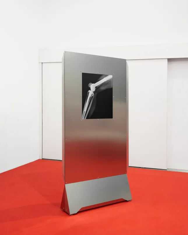 “Flesh And Metal, A Prosthetic Decade”