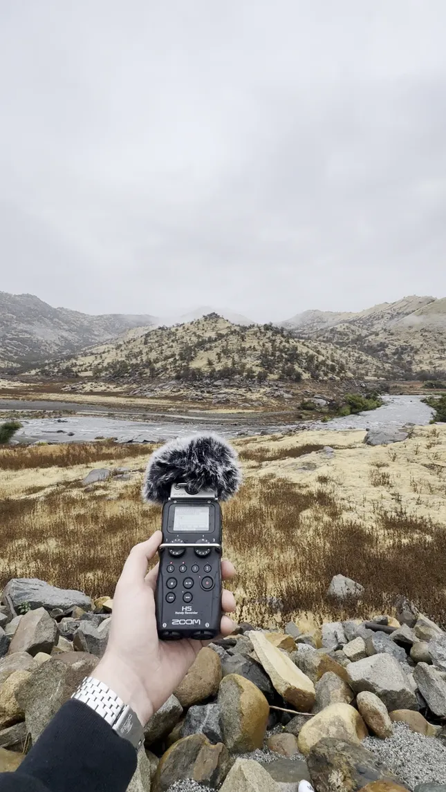 Field Recording - Sequoia