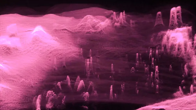 LUCKI FLM Tour Visuals