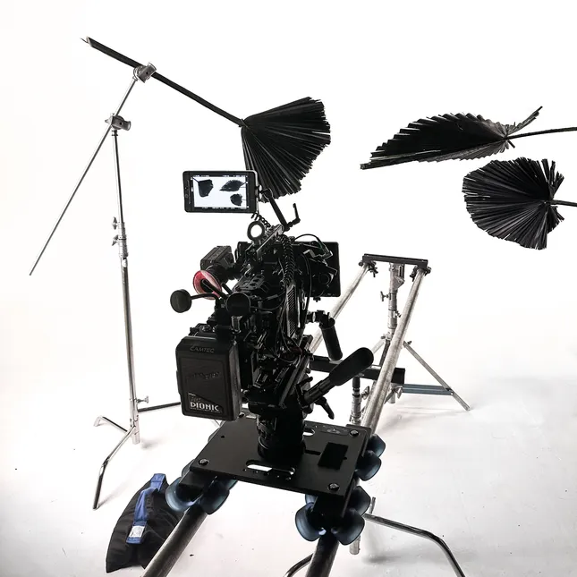 Project image