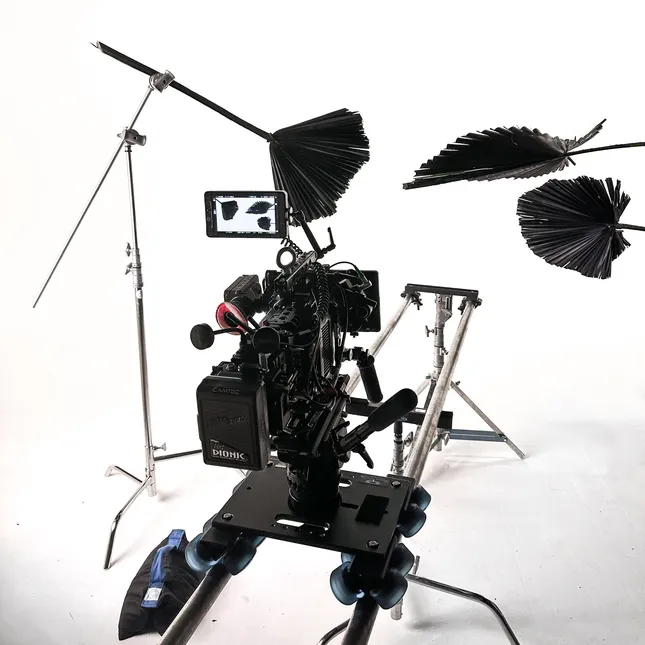 Project image