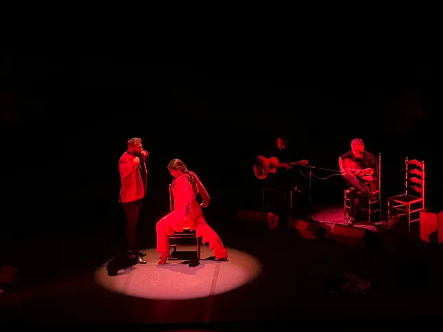 Flamenco Show