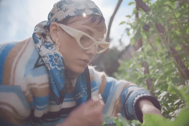 Gardening 101 - Stories for Zalando