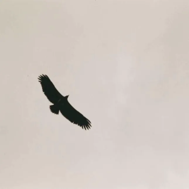 35mm photography- India / Nepal