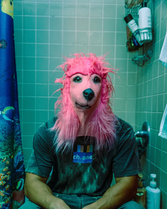 Pink Poodle