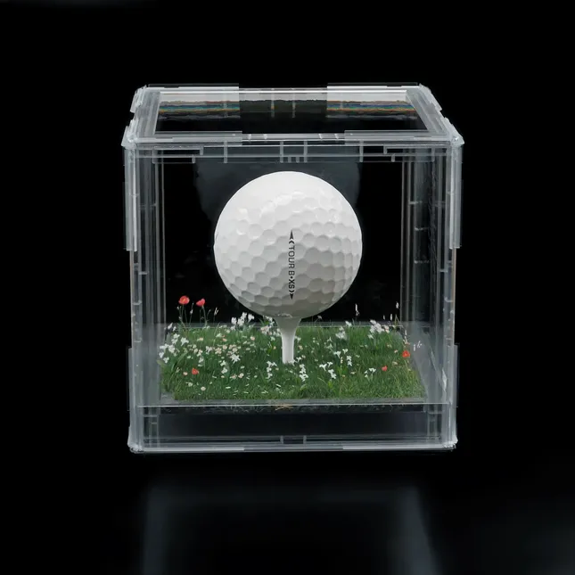 Tiger Woods: Hall of Fame