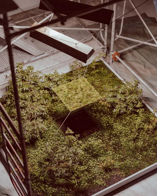 Project image