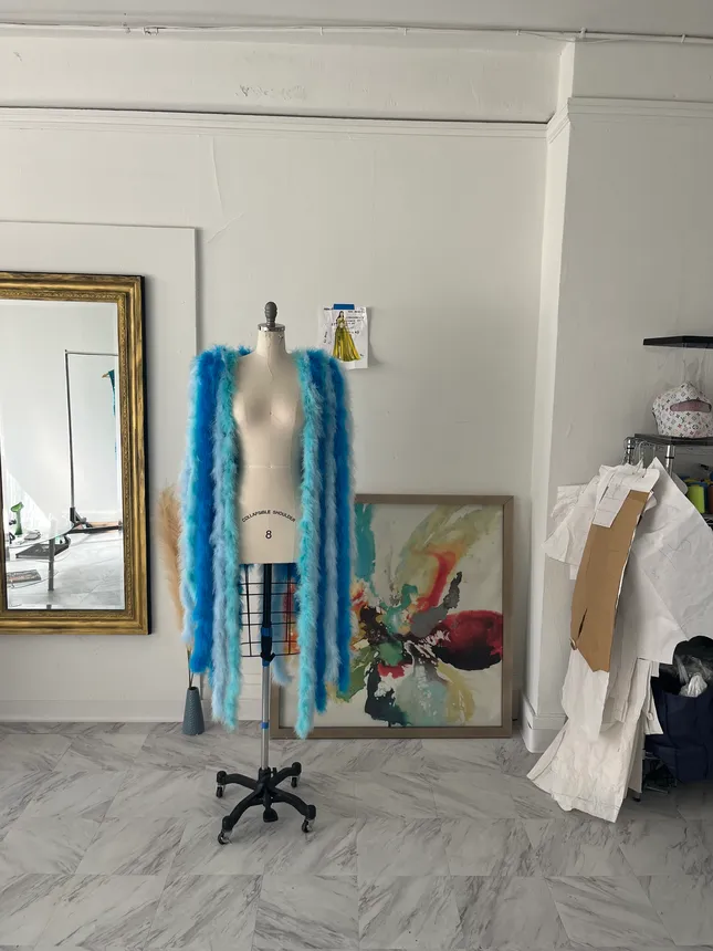 Project image
