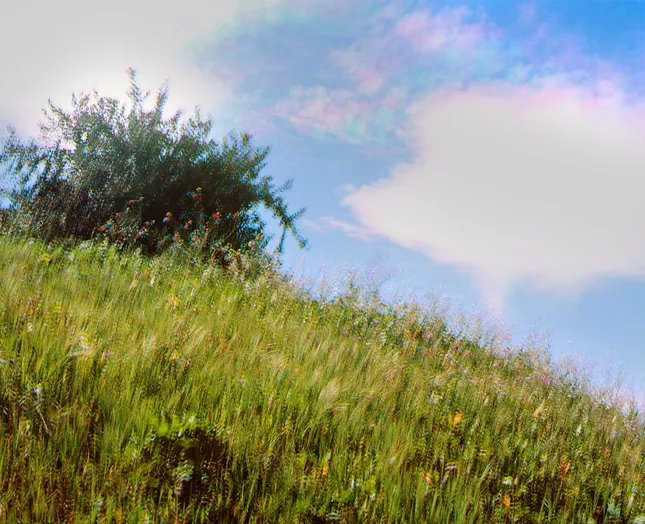 Cultivation
