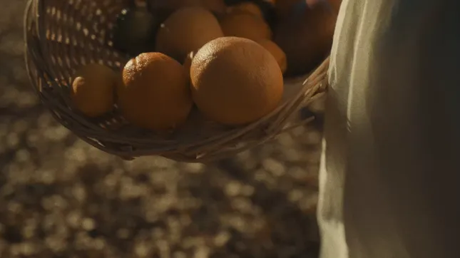 Nectarie Santo Remedio Oil AD