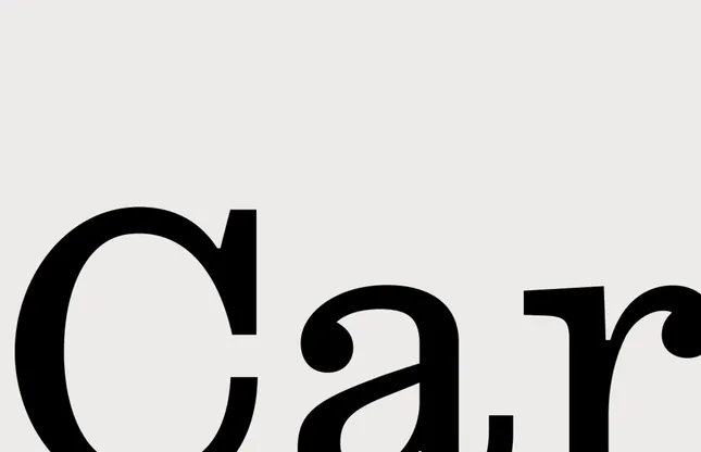 Carpe branding and website