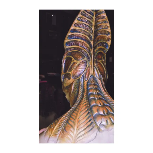 Project image