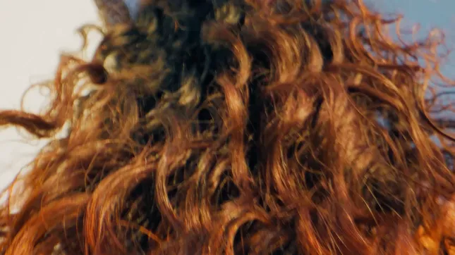 CURLSMITH
