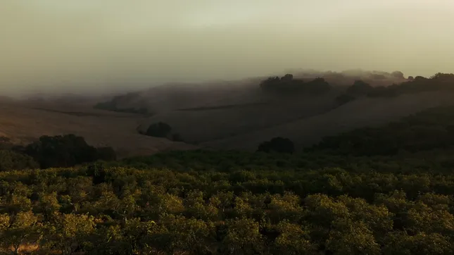 Agriculture reel
