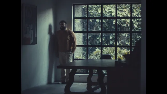Porter - Respuesta Sensorial