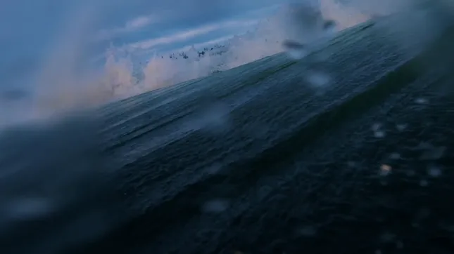 Waterbear - Live to Sea Trailer