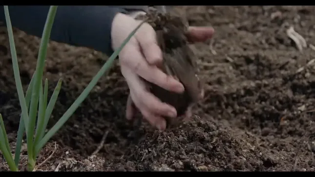 Engineering with PittMoss