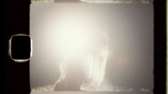 NEW BORN (ART CONCEPT)
