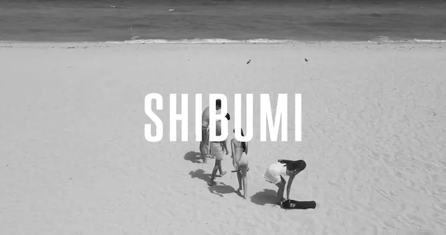 Campaign Ads for Shibumi Shade
