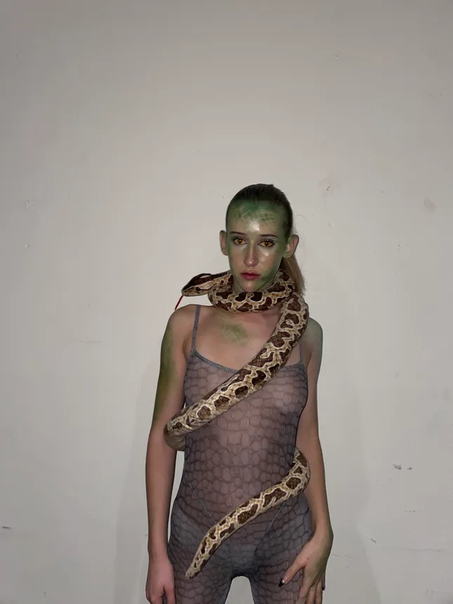 Project image
