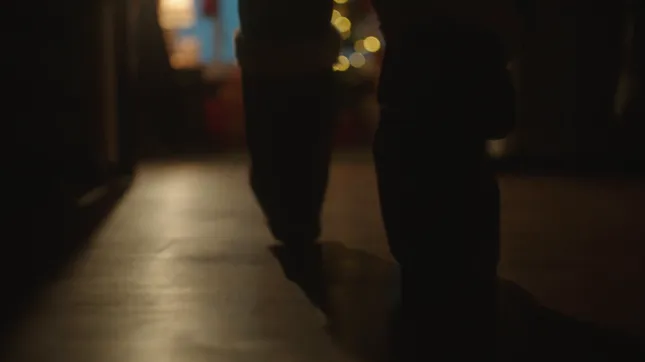 Cetra Visions Christmas AD. 2024